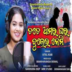 Amar Ghar Bulei Nemi